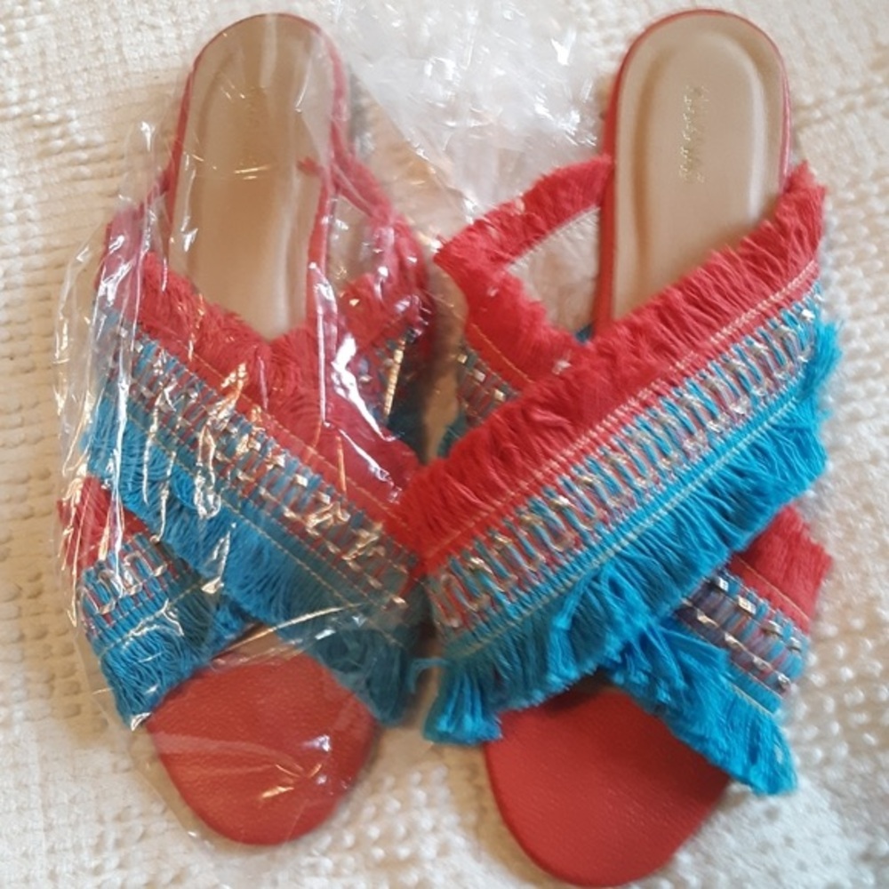 Red and Blue Fringe Sandals with Transparent Design